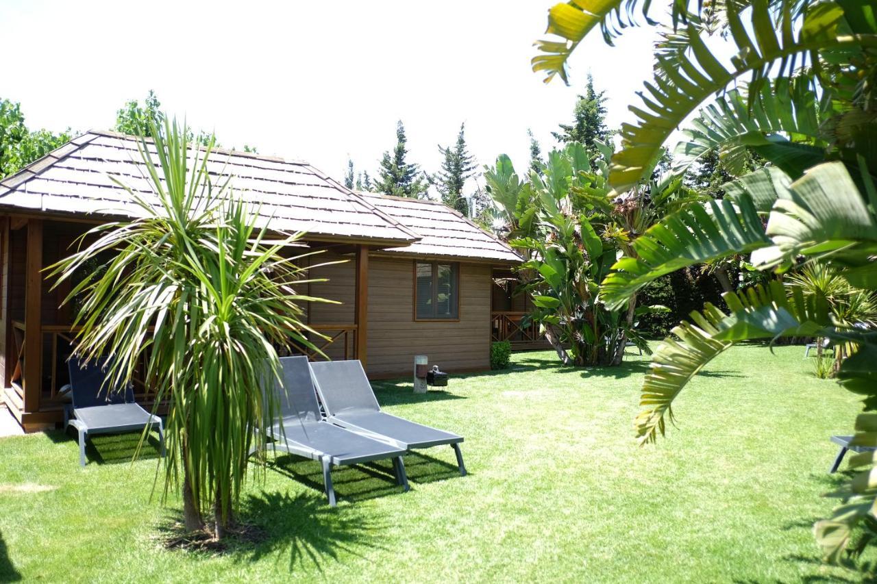 Playa Montroig Camping Resort 외부 사진